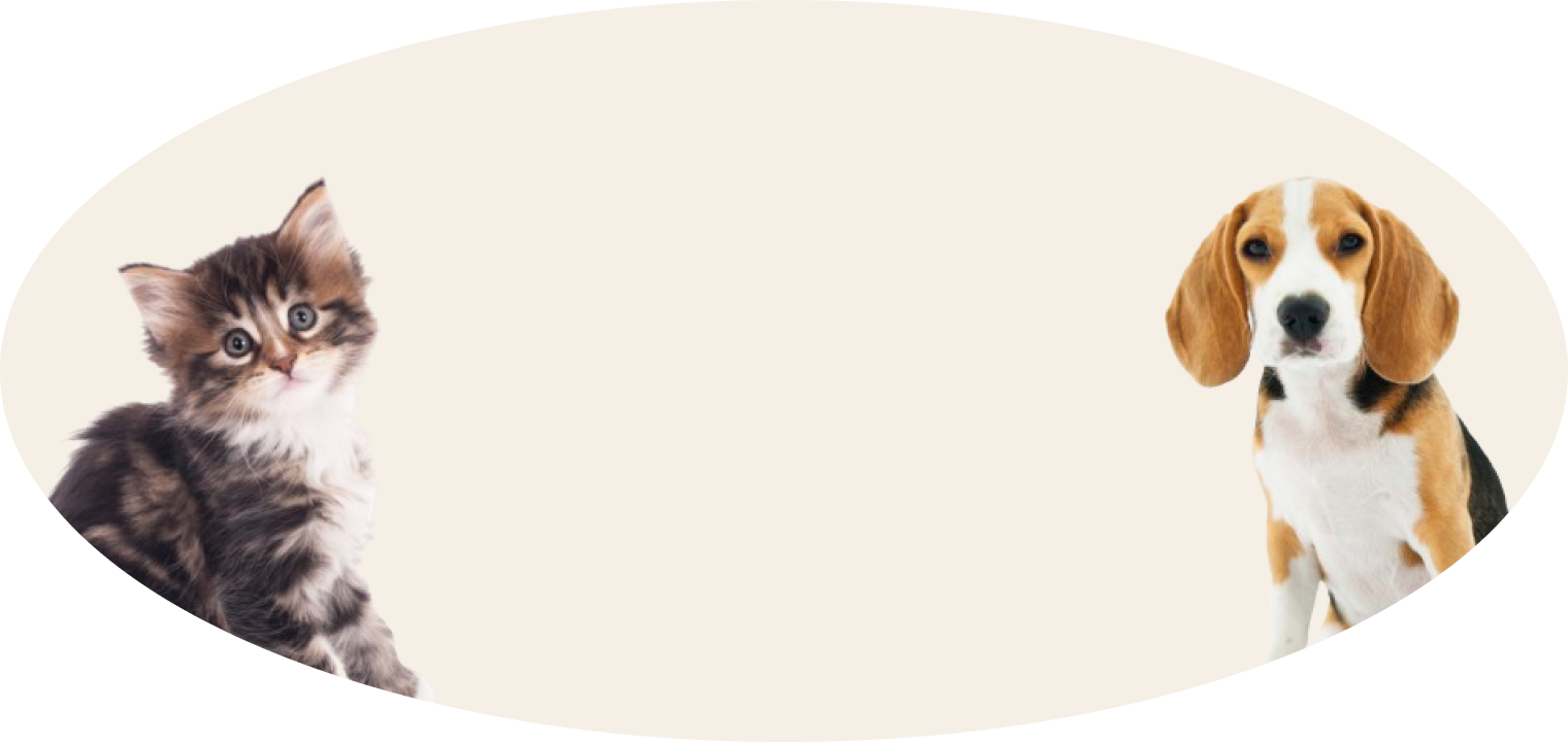 subscribe_background