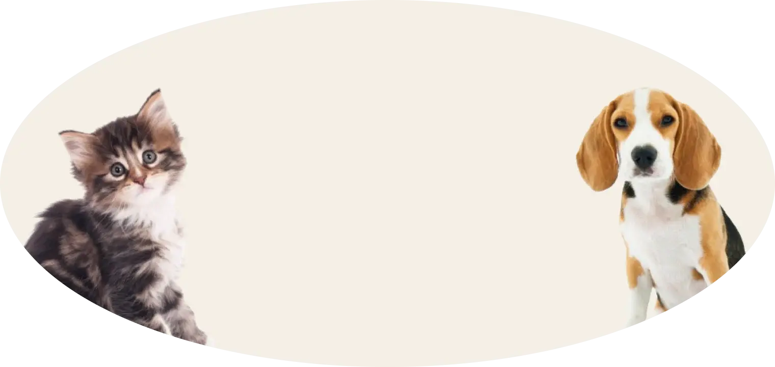 subscribe_background