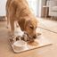 Mata do Lizania dla Psa i Kota – Slow Feeder PlayPals