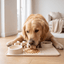 Mata do Lizania dla Psa i Kota – Slow Feeder PlayPals