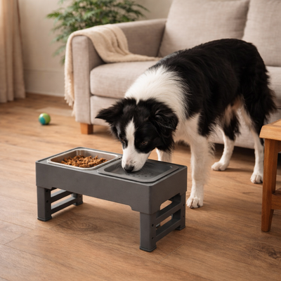 Podwójna Miska Stalowa dla Psa – Regulowana Wysokość, Zdrowy Kręgosłup